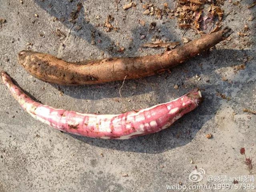 微信图片_20211230090100.jpg