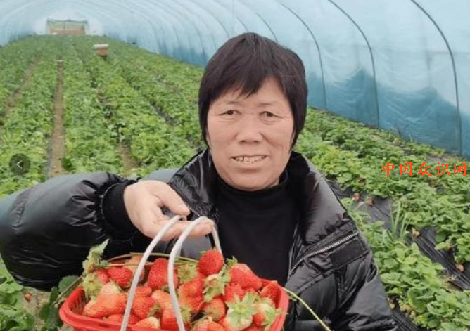 QQ截图20240306230800.png