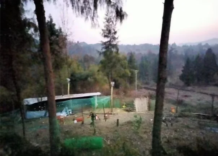 QQ截图20251229023007.png