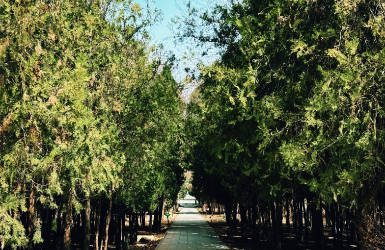 1743833279014062834.png image.png