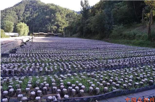 微信截图_20240130113244.png