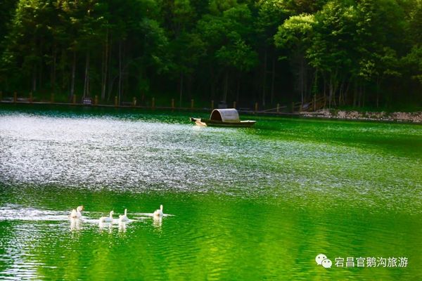 微信图片_20220613165543.jpg