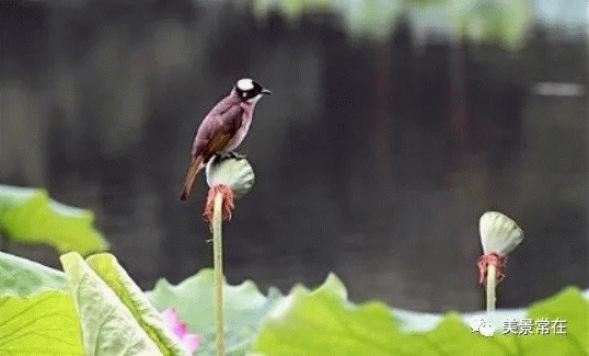 微信图片_20220704102528.gif