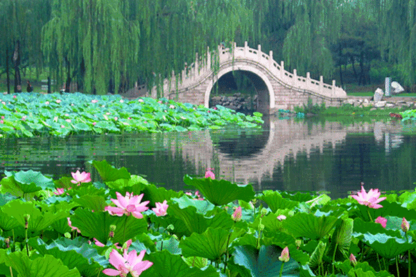 微信图片_20220704102445.gif