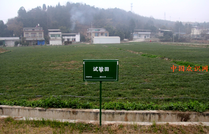 QQ截图20240114201524.png